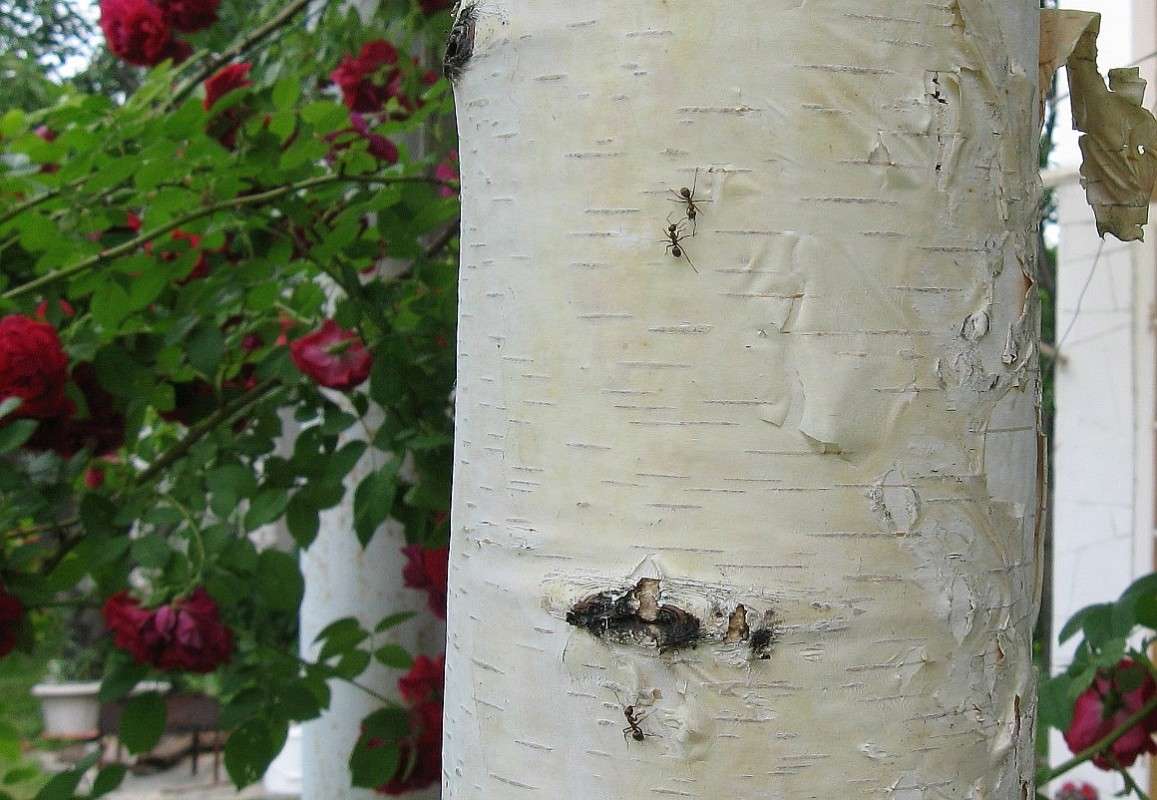 ��������� ����� ))) ����� Natali  ��������� �� PhotoGeek.ru #������ ��� ������� #����� �������������� #���������