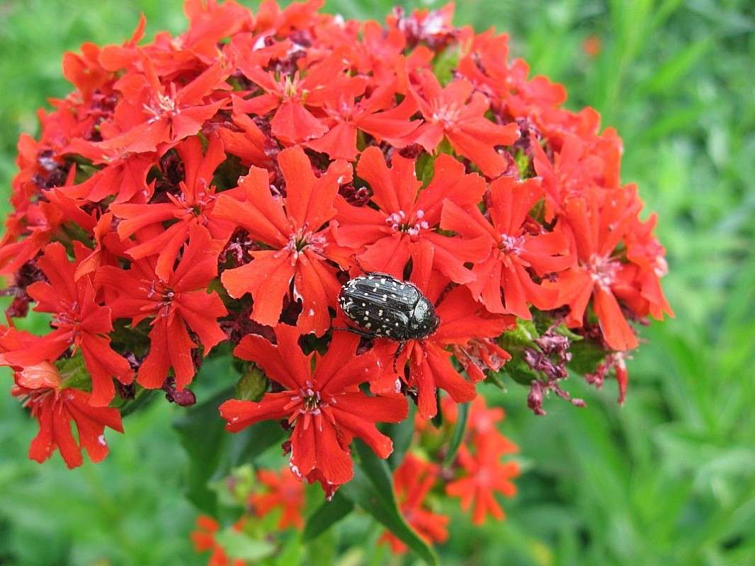 ������� � ������ ))) ����� Natali  ��������� �� PhotoGeek.ru #����� �������������� #���������