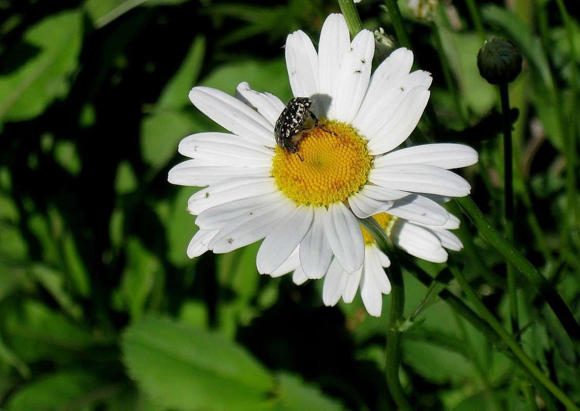 ... ����� Natali  ��������� �� PhotoGeek.ru #����� ��������������