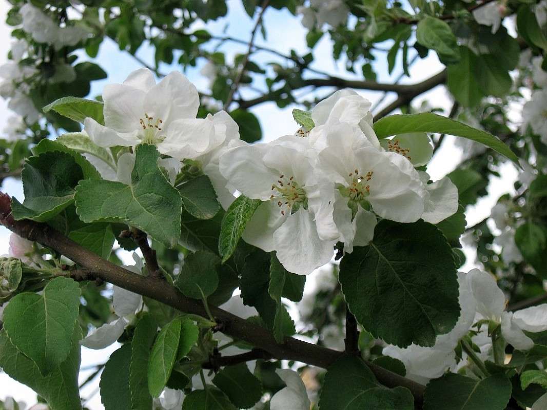 ... ����� Natali  ��������� �� PhotoGeek.ru #����� ��������������