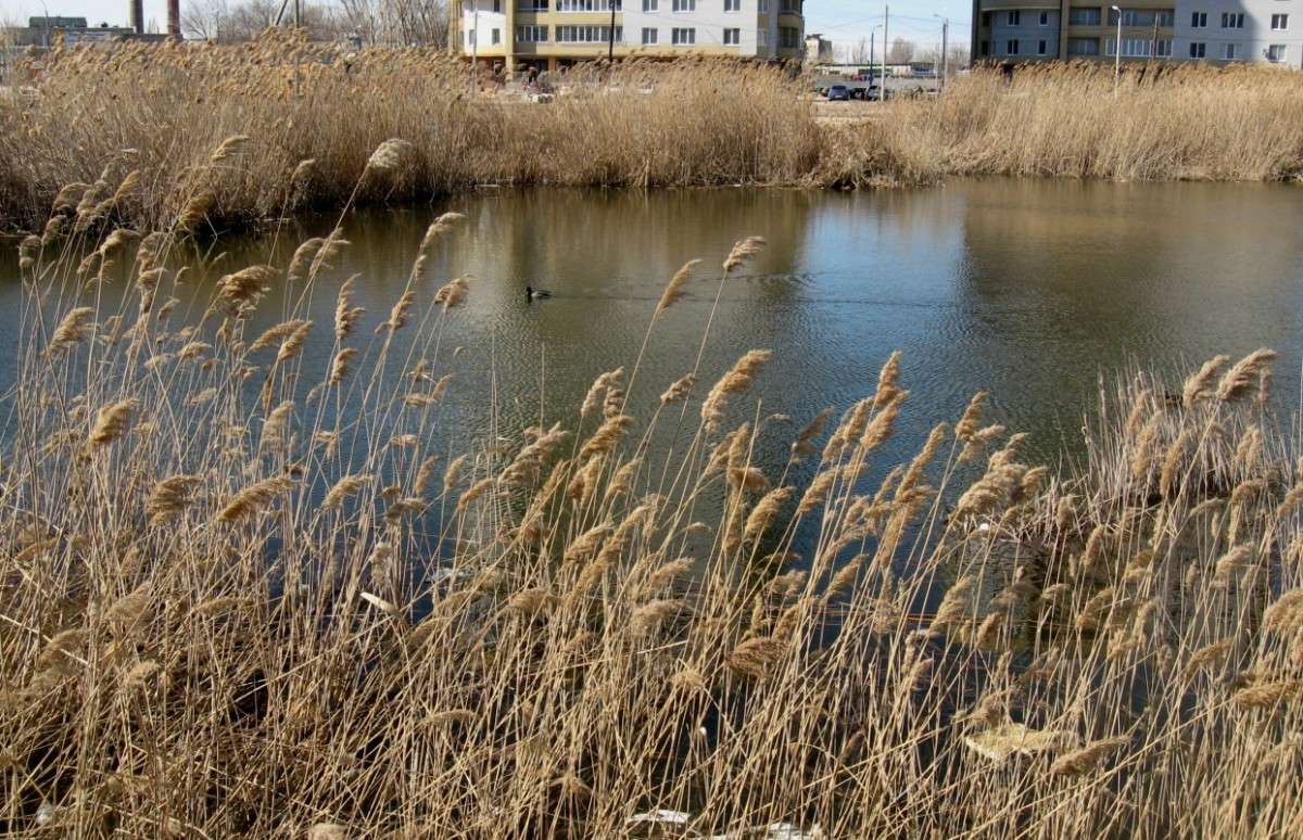 ����� �������� ��������� 2 ����� Natali  ��������� �� PhotoGeek.ru #����� #�������� ��� #������ ��� ������� #�������� #����� ��������