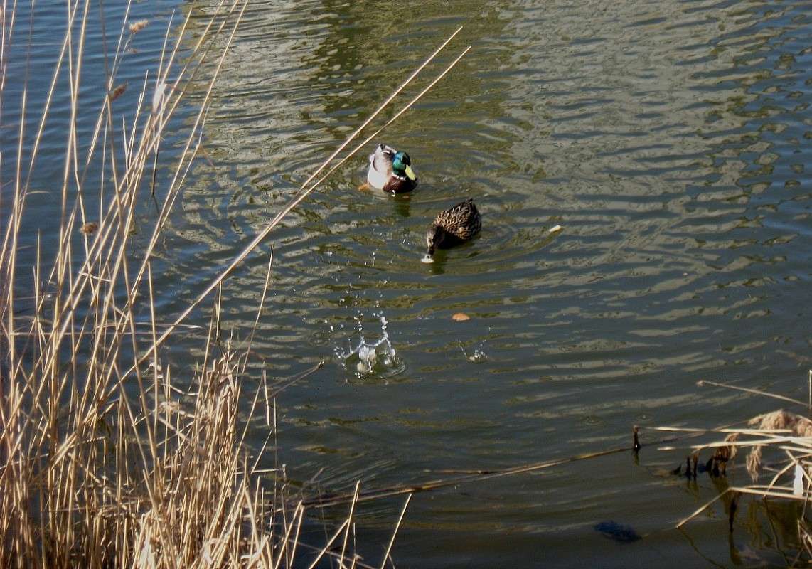 ����� �������� ���������.  � �������� ������� .... ) ����� Natali  ��������� �� PhotoGeek.ru #�������� ��� #����� ��� ��� ���������