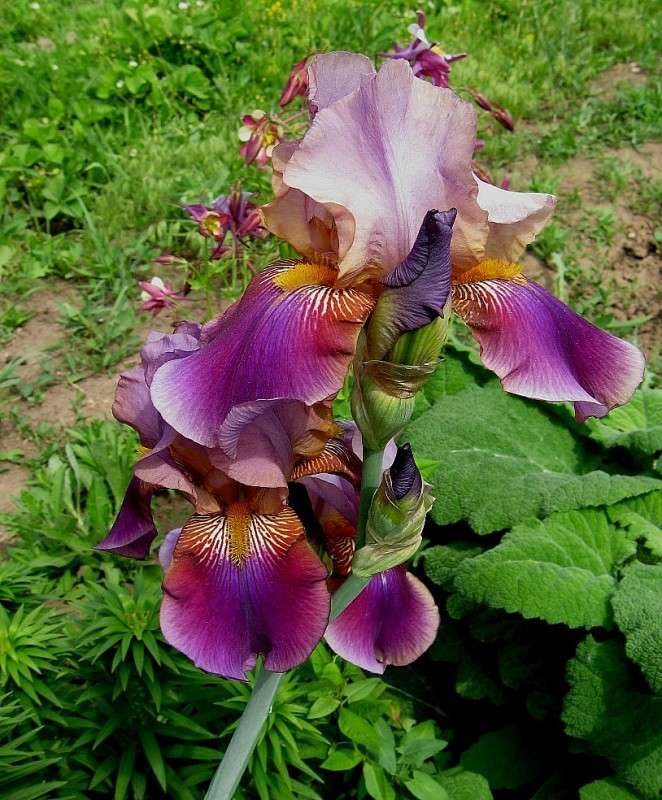 ... ����� Natali  ��������� �� PhotoGeek.ru #����� ��������������