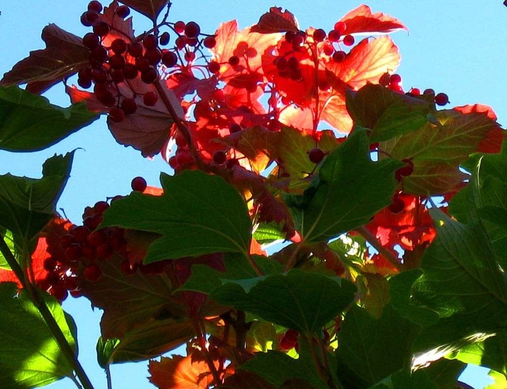 ... ����� Natali  ��������� �� PhotoGeek.ru #������ ��� ������� #����� ��������������