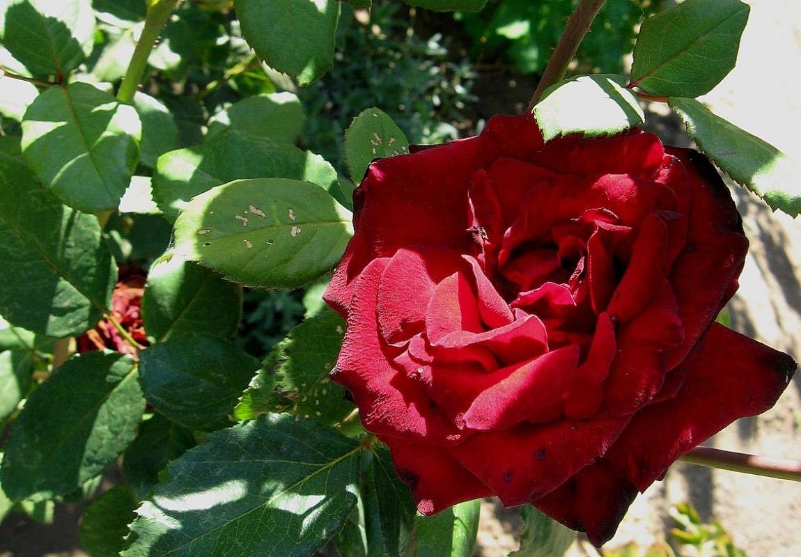 ... ����� Natali  ��������� �� PhotoGeek.ru #����� ��������������