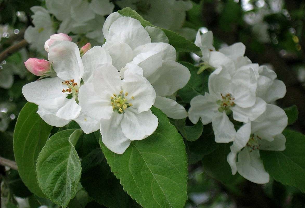 ... ����� Natali  ��������� �� PhotoGeek.ru #����� ��������������