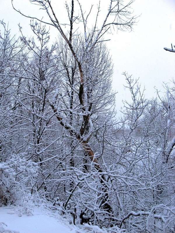 ... ����� Natali  ��������� �� PhotoGeek.ru #������ ��� �������