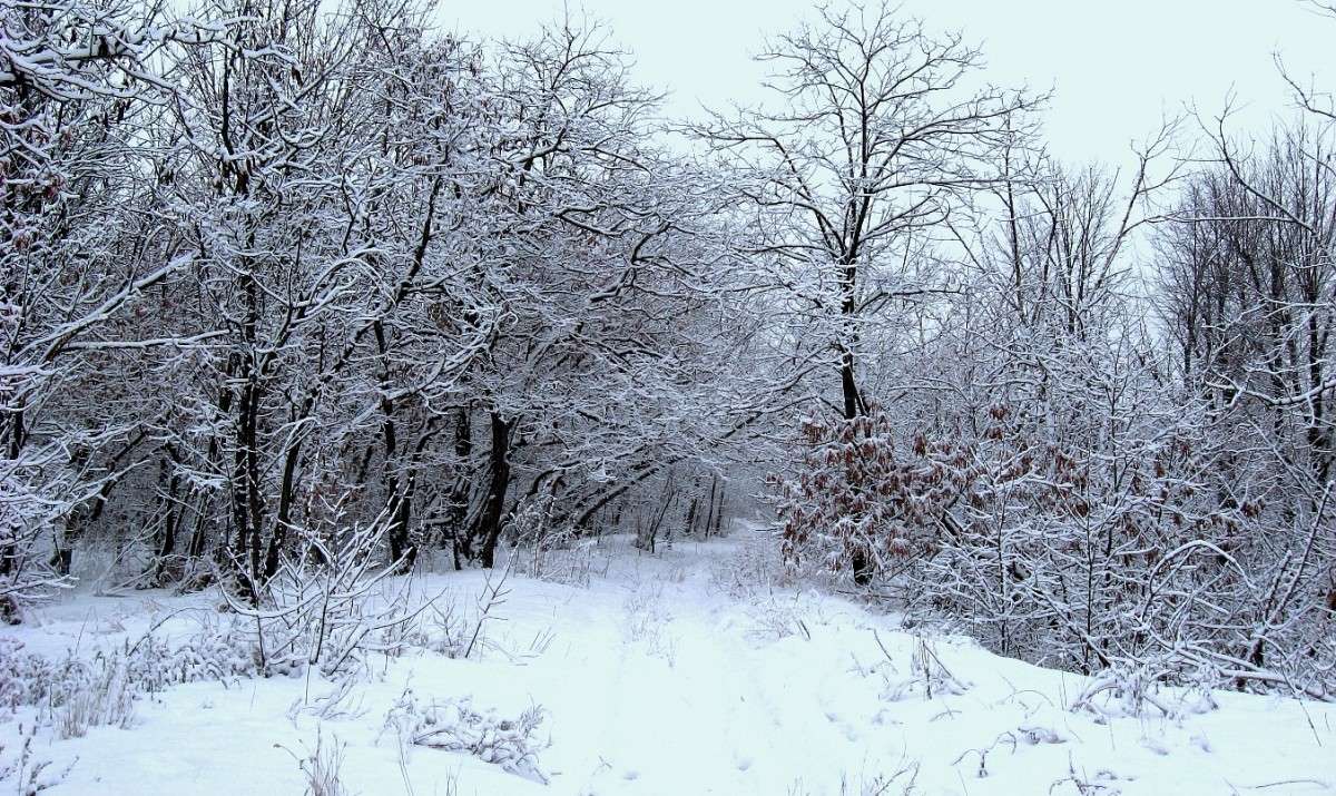 ... ����� Natali  ��������� �� PhotoGeek.ru #������ ��� �������