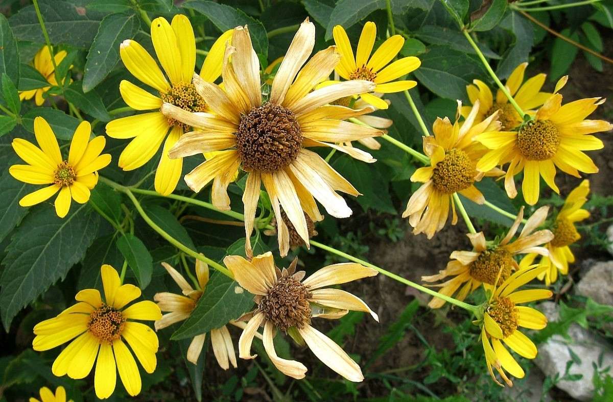 ... ����� Natali  ��������� �� PhotoGeek.ru #����� ��������������