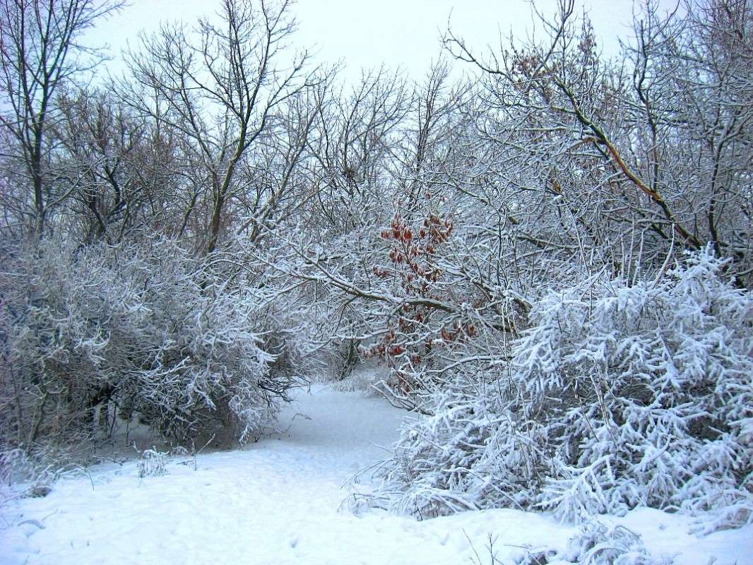 ... ����� Natali  ��������� �� PhotoGeek.ru #������ ��� �������