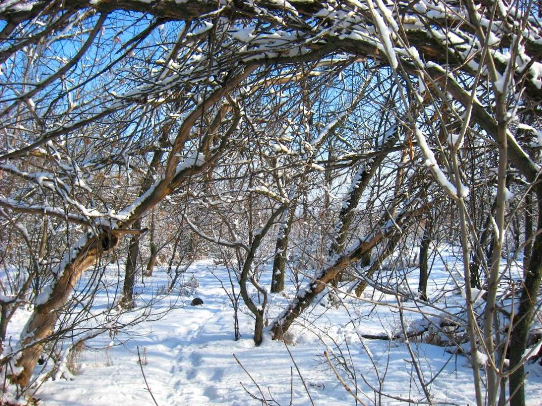 ... ����� Natali  ��������� �� PhotoGeek.ru #������ ��� �������