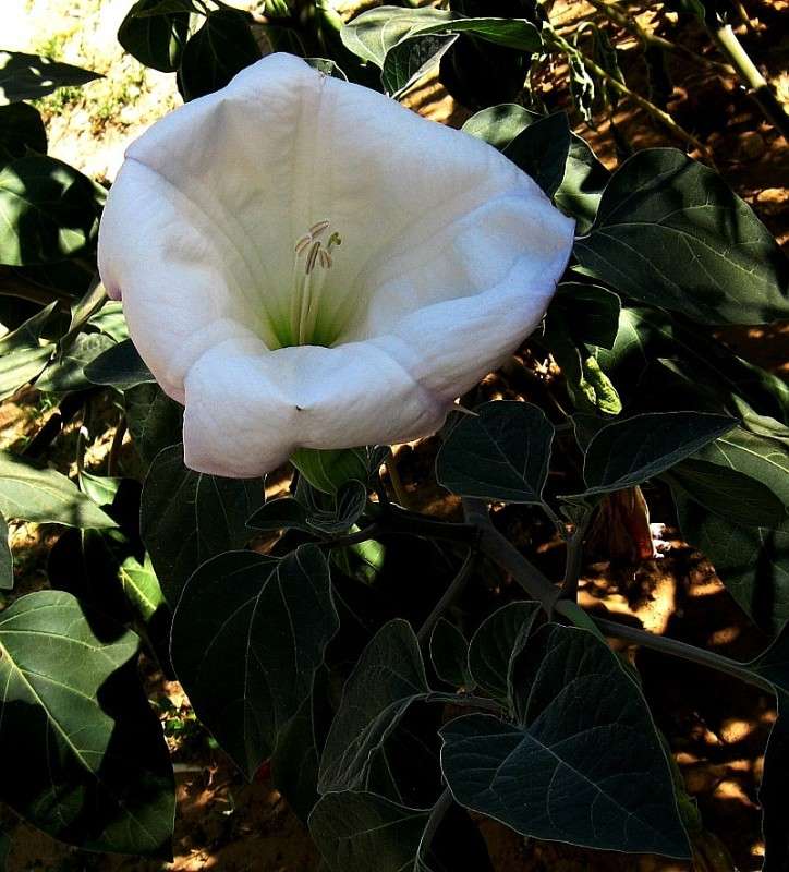 ... ����� Natali  ��������� �� PhotoGeek.ru #����� ��������������