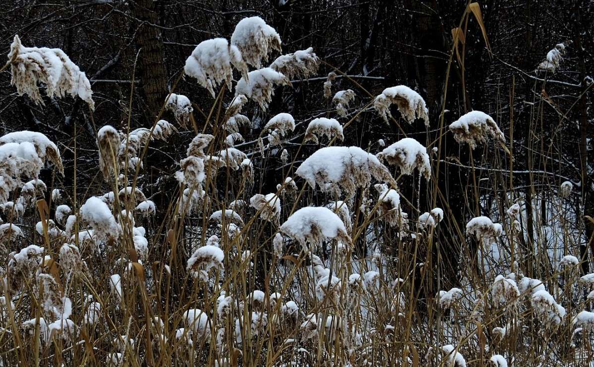 ... ����� Natali  ��������� �� PhotoGeek.ru #������ ��� ������� #����� ��������������