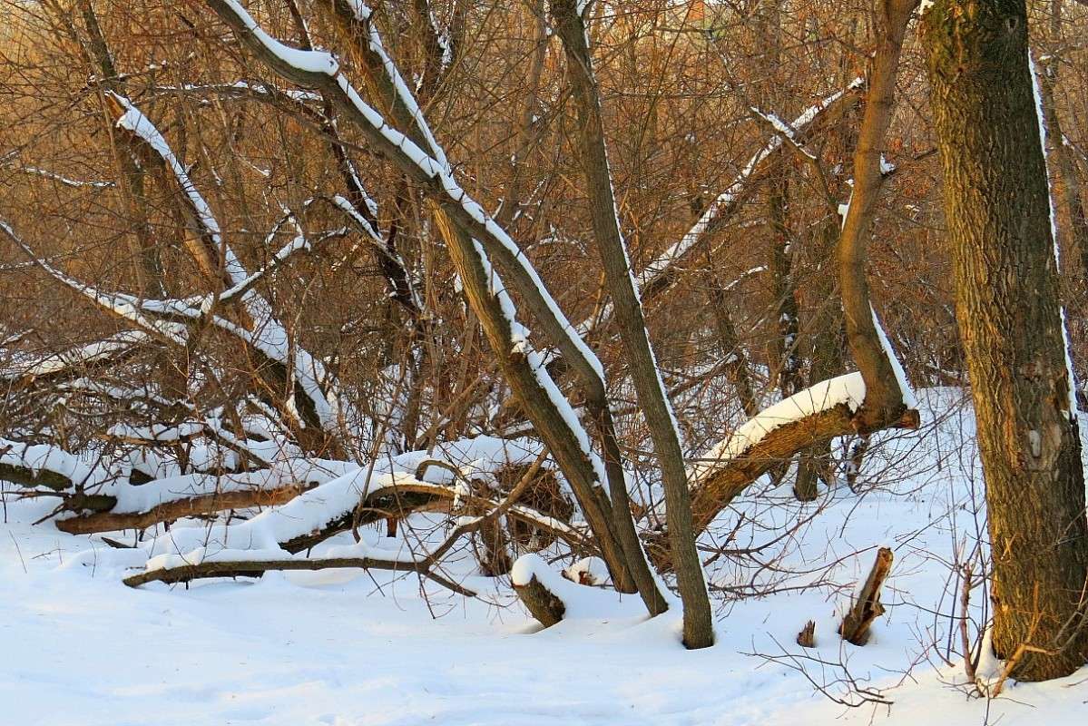 � ��������  ����� �������  ) ����� Natali  ��������� �� PhotoGeek.ru #������ ��� ������� #����� ��������������