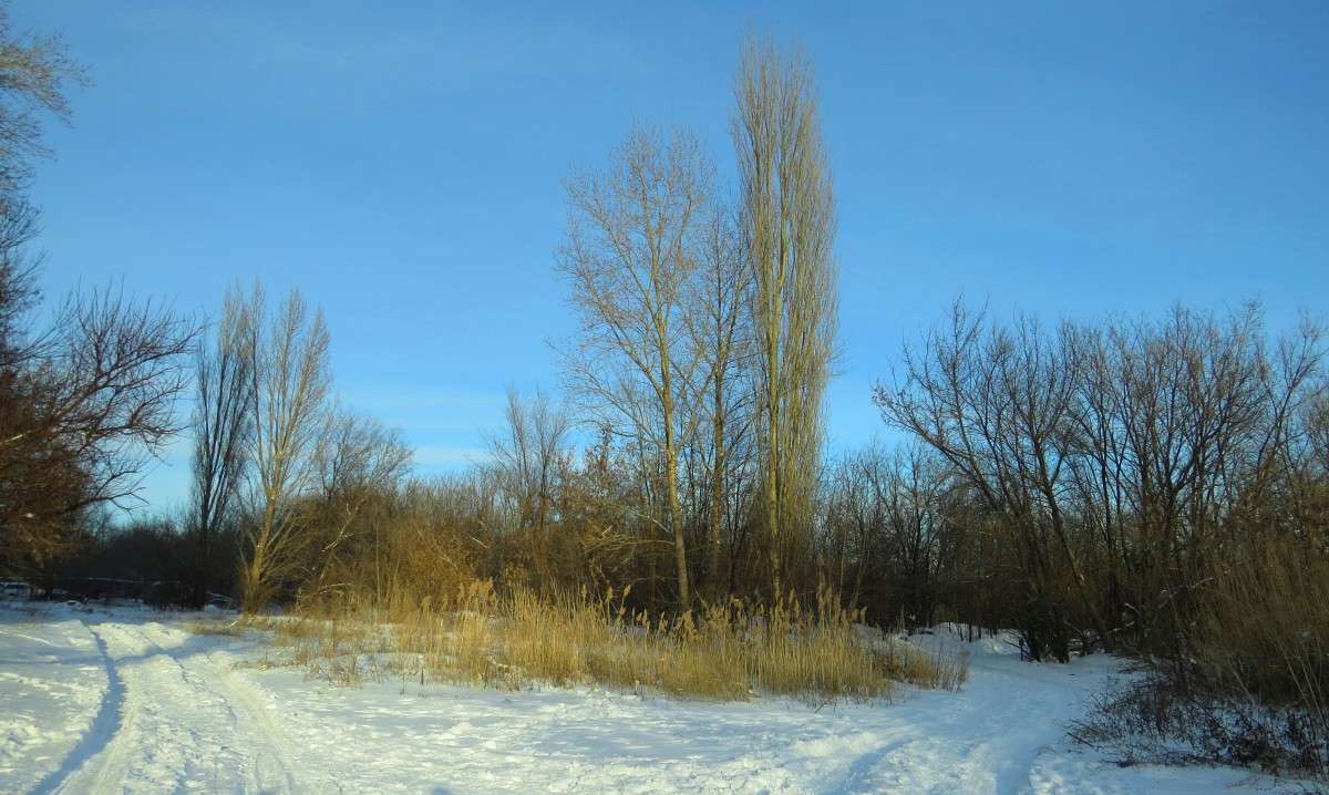 ������ ������ ...) ����� Natali  ��������� �� PhotoGeek.ru #������ ��� �������