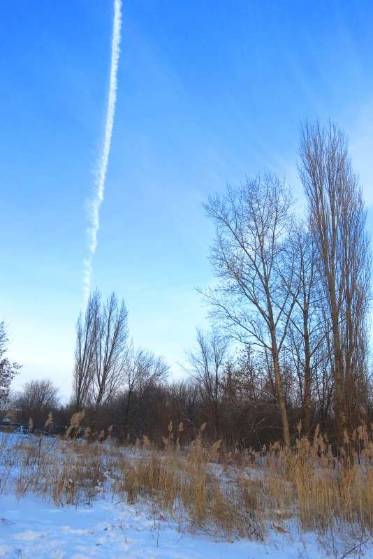 ��������� ))) ����� Natali  ��������� �� PhotoGeek.ru #������ ��� �������