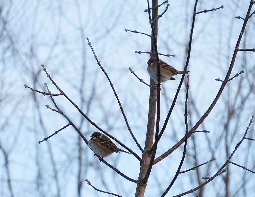 ������������� ) ����� Natali  ��������� �� PhotoGeek.ru #�������� ��� #������ ��� �������