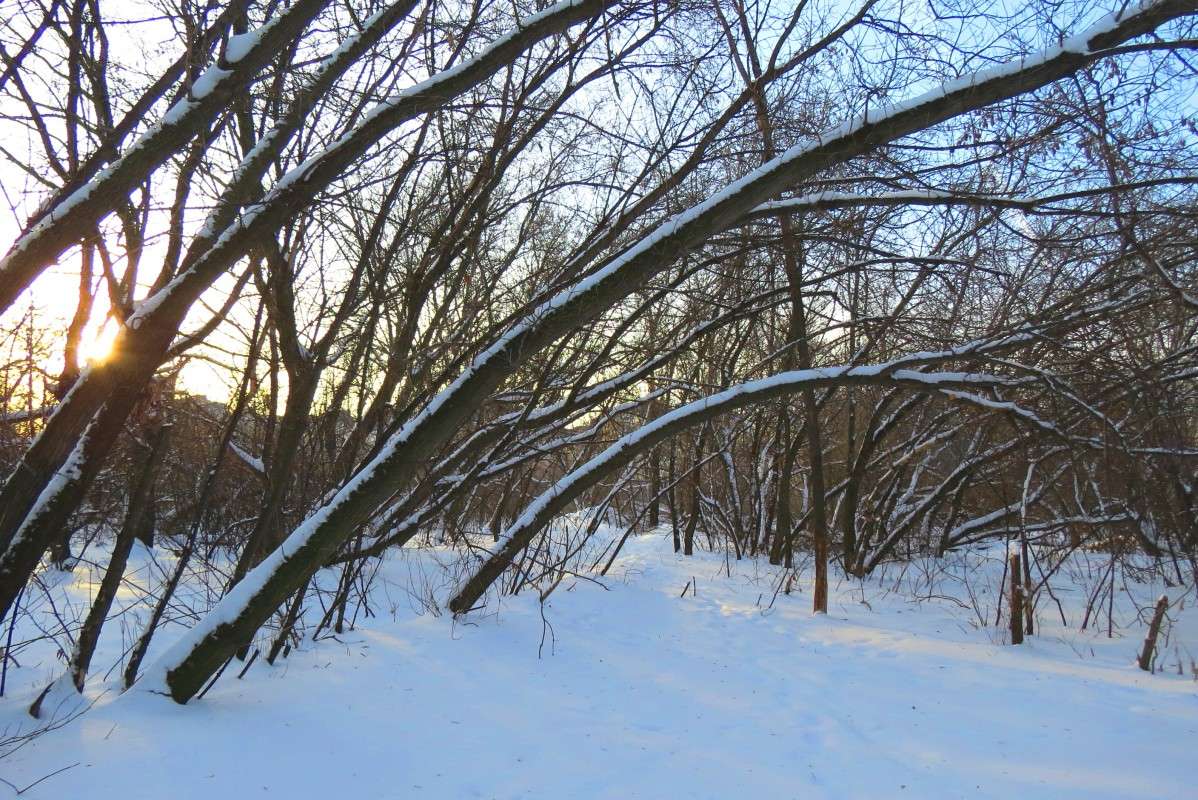 ����� ������ ����� Natali  ��������� �� PhotoGeek.ru #������ ��� �������