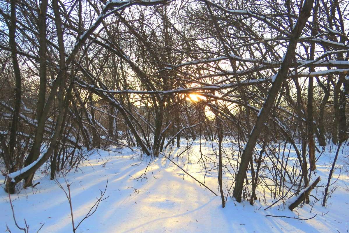 ����� ������ 2 ����� Natali  ��������� �� PhotoGeek.ru #������ ��� �������