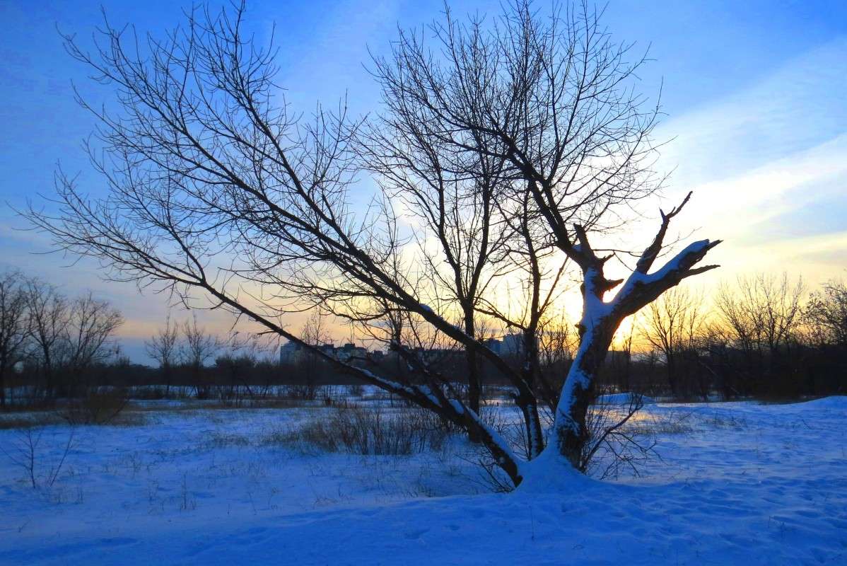 ... ����� Natali  ��������� �� PhotoGeek.ru #������ ��� ������� #����� ��������������