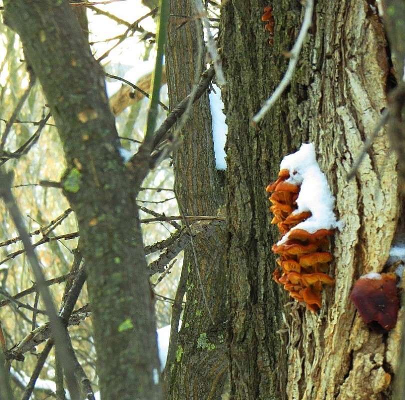 ����� ������ 3 ����� Natali  ��������� �� PhotoGeek.ru #������ ��� ������� #����� ��������������