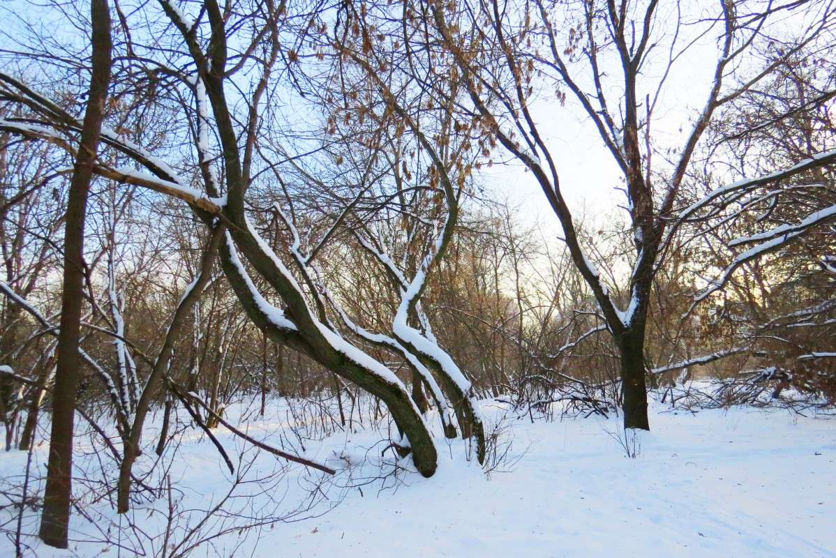 ... ����� Natali  ��������� �� PhotoGeek.ru #������ ��� �������