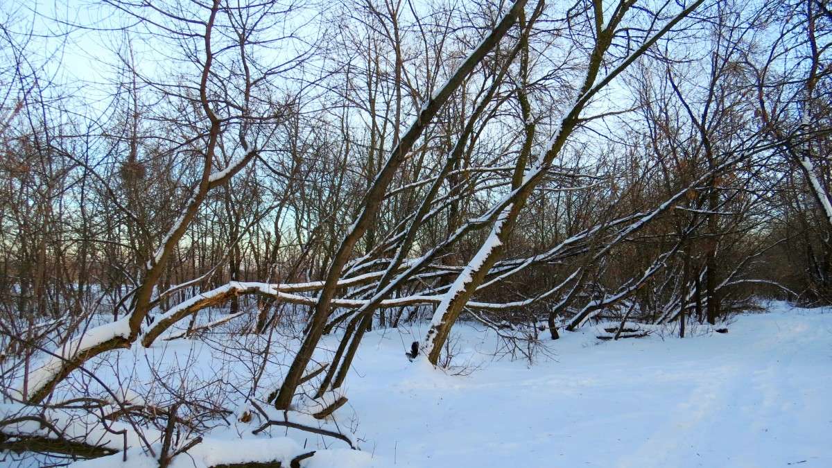 ... ����� Natali  ��������� �� PhotoGeek.ru #������ ��� �������