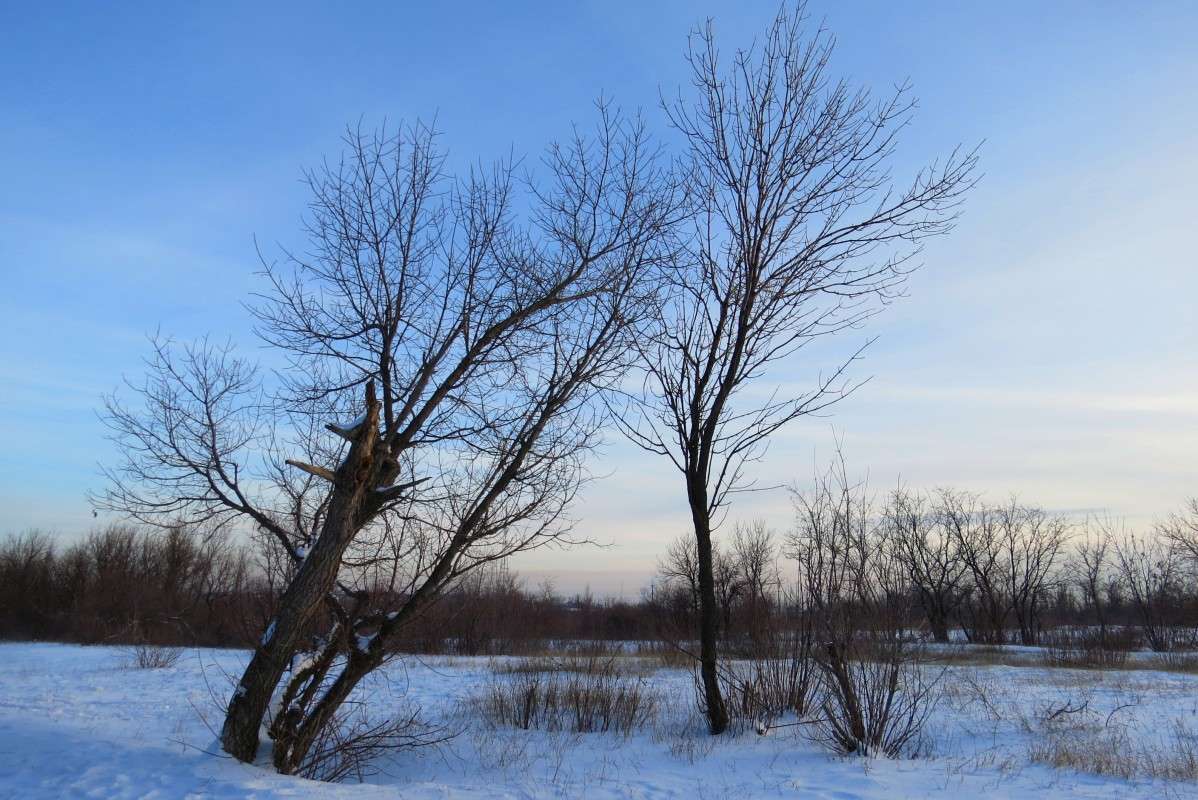 ... ����� Natali  ��������� �� PhotoGeek.ru #������ ��� �������