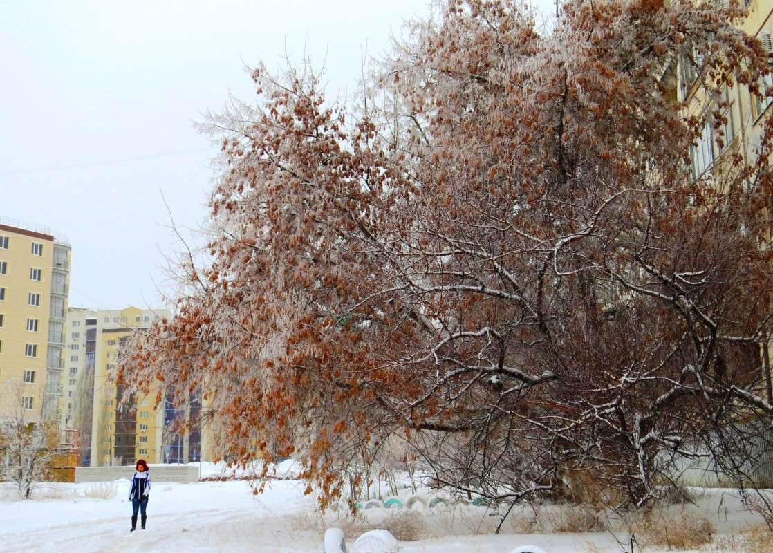 � � ������ ���� ... ����� Natali  ��������� �� PhotoGeek.ru #����� #������ ��� �������