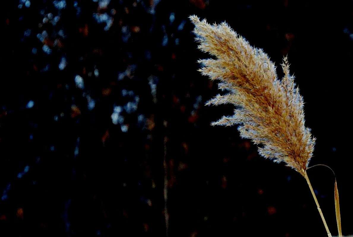 ... ����� Natali  ��������� �� PhotoGeek.ru #������ ��� ������� #����� ��������������