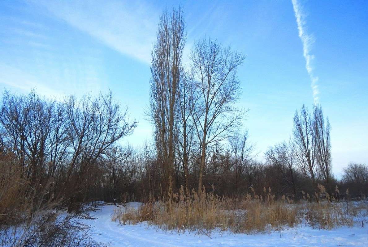 ... ����� Natali  ��������� �� PhotoGeek.ru #������ ��� �������