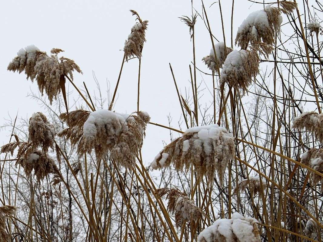 ������ ���� ����� Natali  ��������� �� PhotoGeek.ru #����� ��������������