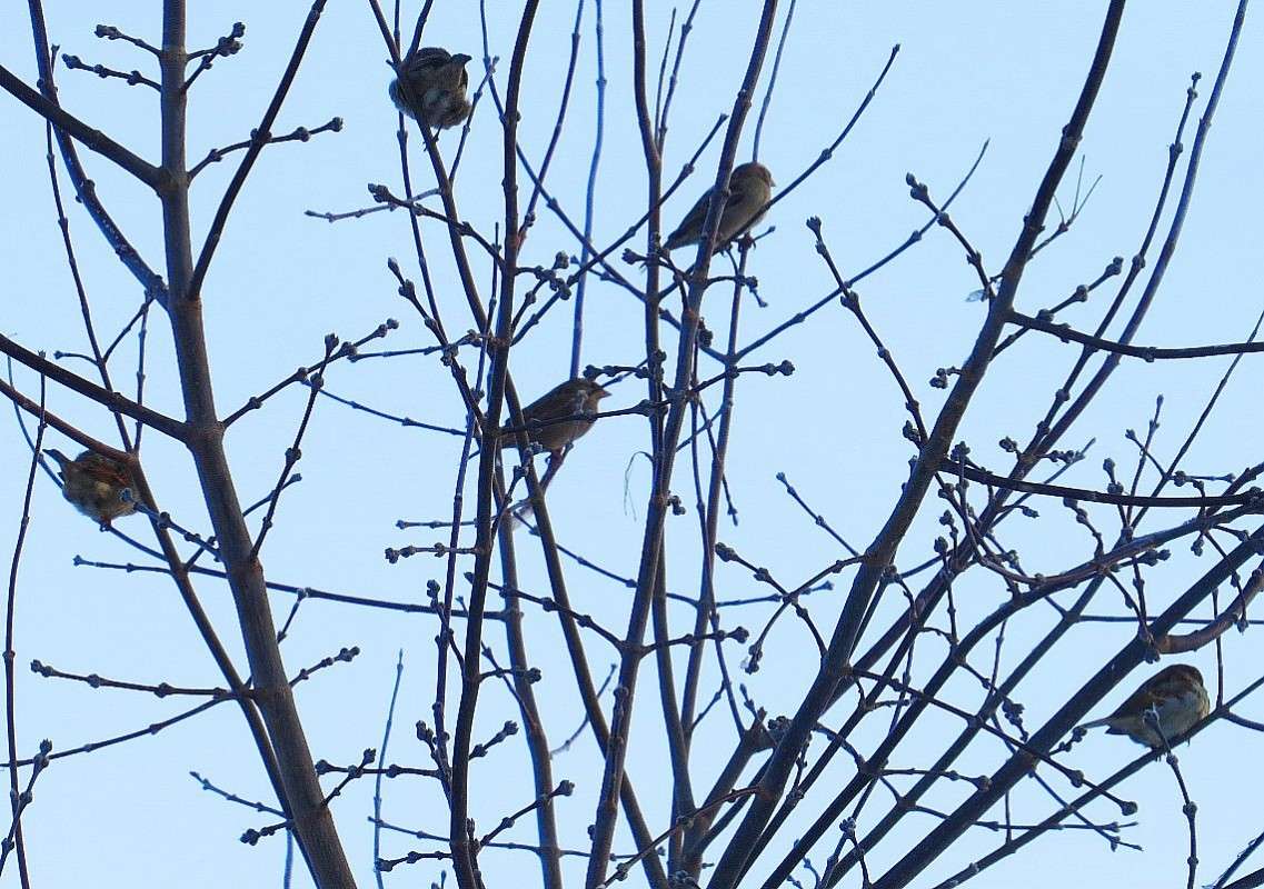 ... ����� Natali  ��������� �� PhotoGeek.ru #�������� ���