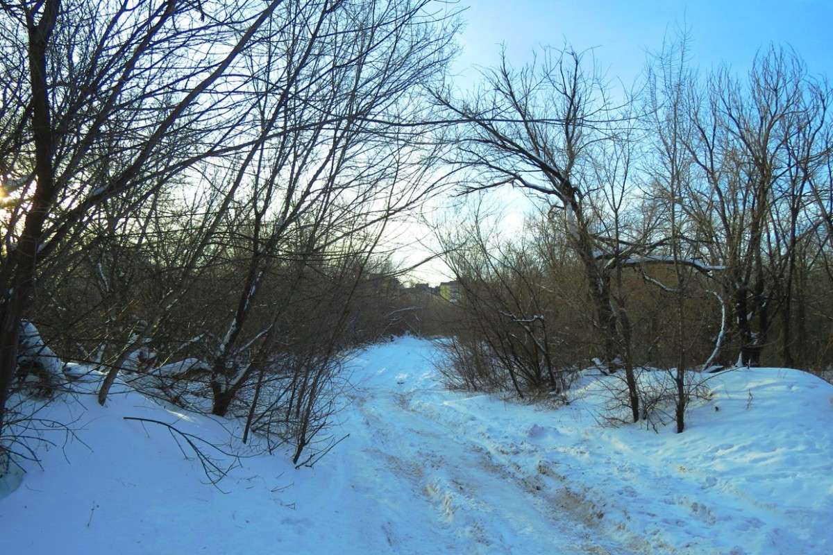 �� ������ ������ ....  ))) ����� Natali  ��������� �� PhotoGeek.ru #������ ��� ������� #����� ��������