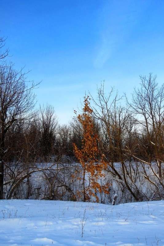 ������ ������ ����� Natali  ��������� �� PhotoGeek.ru #������ ��� ������� #����� ��������������