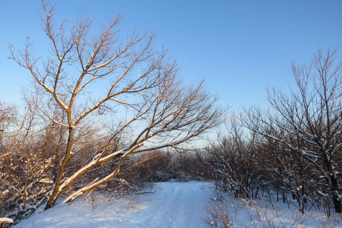 �������� ������ ����� Natali  ��������� �� PhotoGeek.ru #������ ��� �������