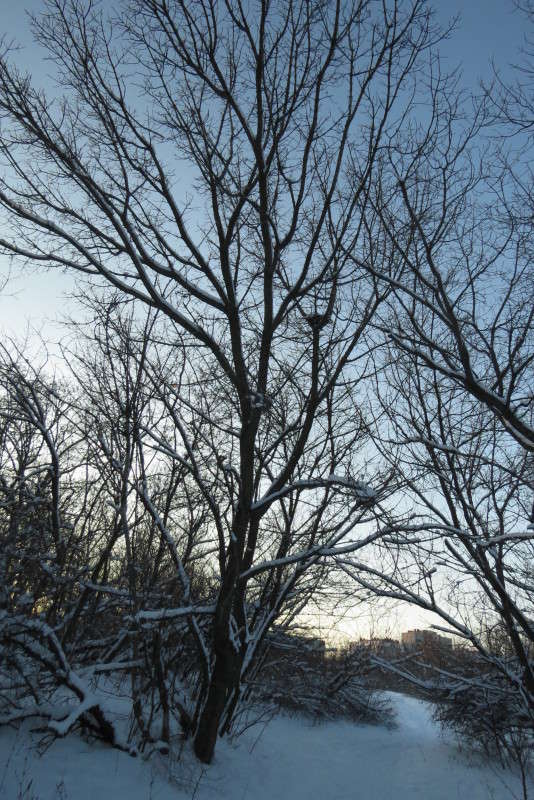 � ���� .... � ...������� �� ������ ....) ����� Natali  ��������� �� PhotoGeek.ru #������ ��� ������� #����� ��������������