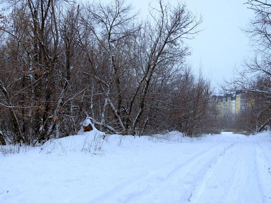 ... ����� Natali  ��������� �� PhotoGeek.ru #������ ��� �������