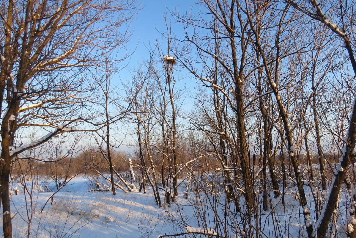 ... ����� Natali  ��������� �� PhotoGeek.ru #������ ��� �������