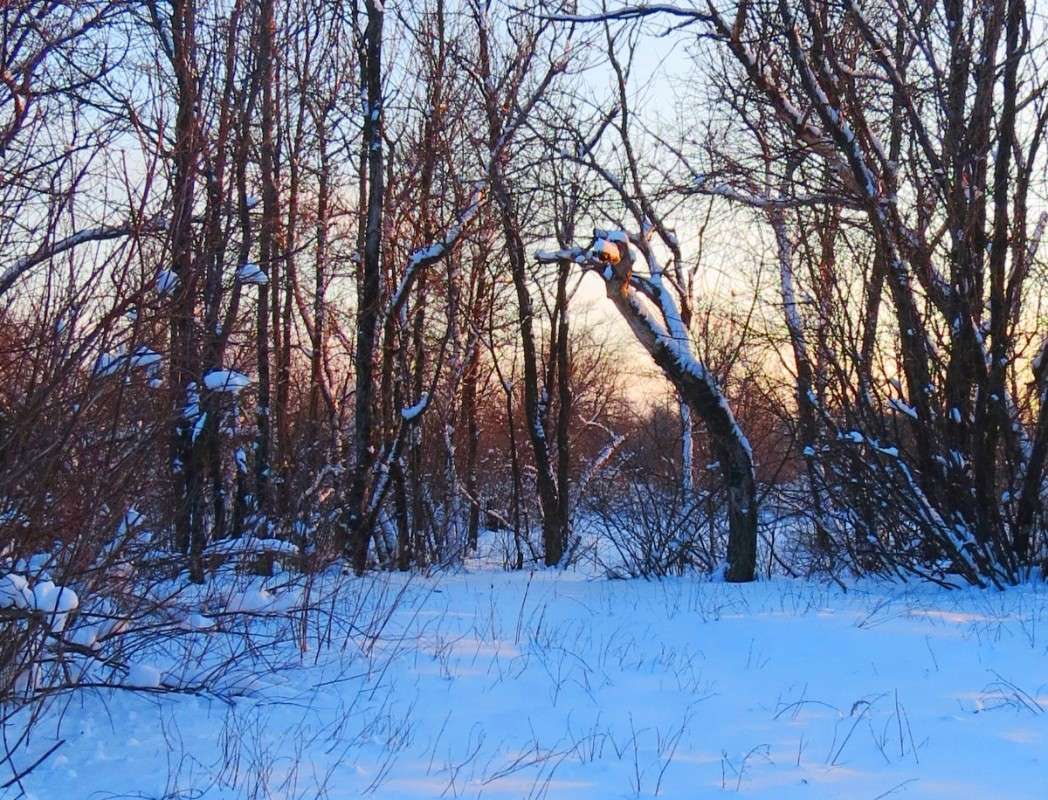 �����. � ��������. ����� Natali  ��������� �� PhotoGeek.ru #������ ��� ������� #����� ��������������