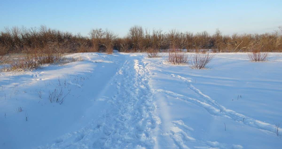 ... ����� Natali  ��������� �� PhotoGeek.ru #������ ��� �������