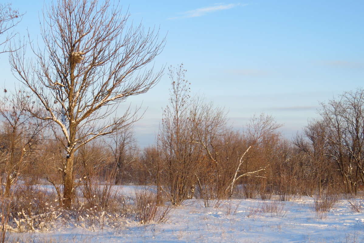 ... ����� Natali  ��������� �� PhotoGeek.ru #������ ��� �������