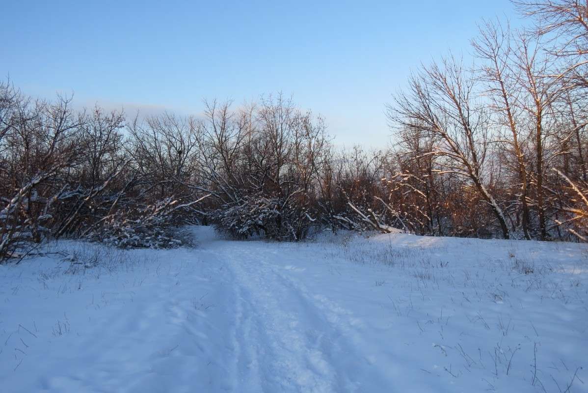 ... ����� Natali  ��������� �� PhotoGeek.ru #������ ��� �������