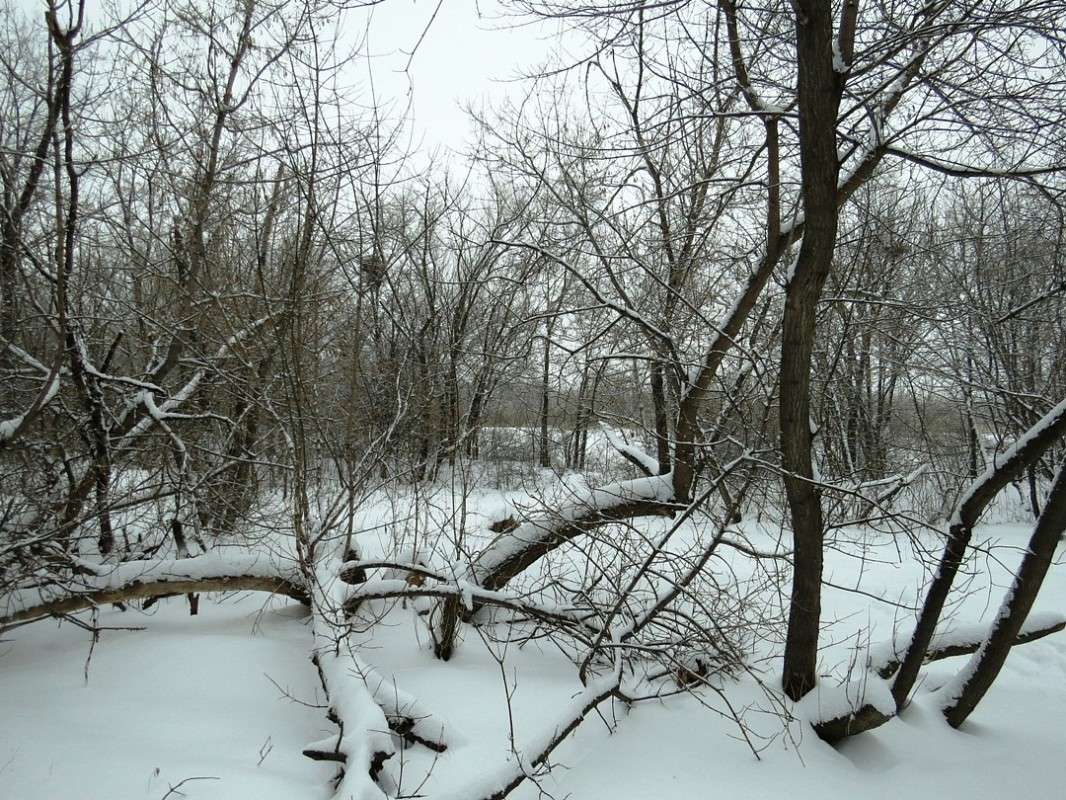 ��������� ������� ����� Natali  ��������� �� PhotoGeek.ru #������ ��� �������