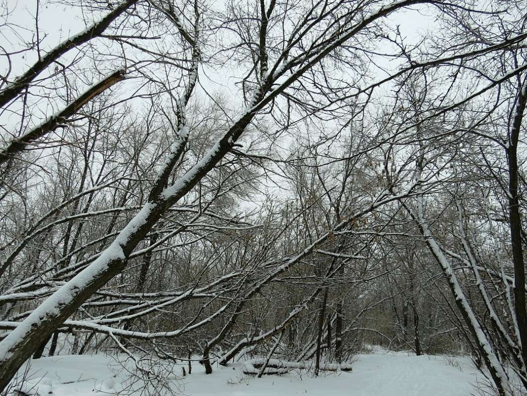 ��������� ������� 2 ))) ����� Natali  ��������� �� PhotoGeek.ru #������ ��� �������