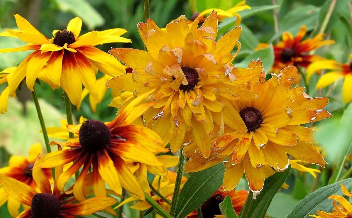 ��� ����� ������� ����� Natali  ��������� �� PhotoGeek.ru #������ ��� �������