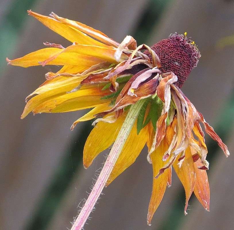 ��� ����� ������� 2 ����� Natali  ��������� �� PhotoGeek.ru #������ ��� ������� #����� ��������������