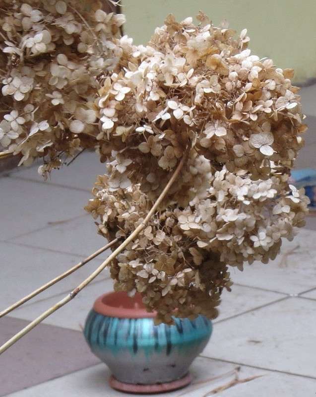 ����� ���� ) ����� Natali  ��������� �� PhotoGeek.ru #��������� #�������� ���������� #����� ��������������