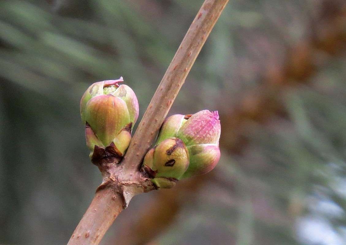 �������� .... ) ����� Natali  ��������� �� PhotoGeek.ru #����� ��������������