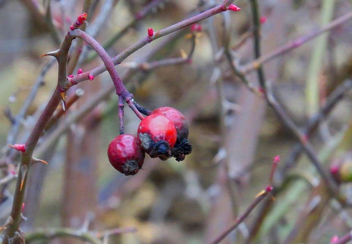 ����� ���� 2 ����� Natali  ��������� �� PhotoGeek.ru #����� ��������������